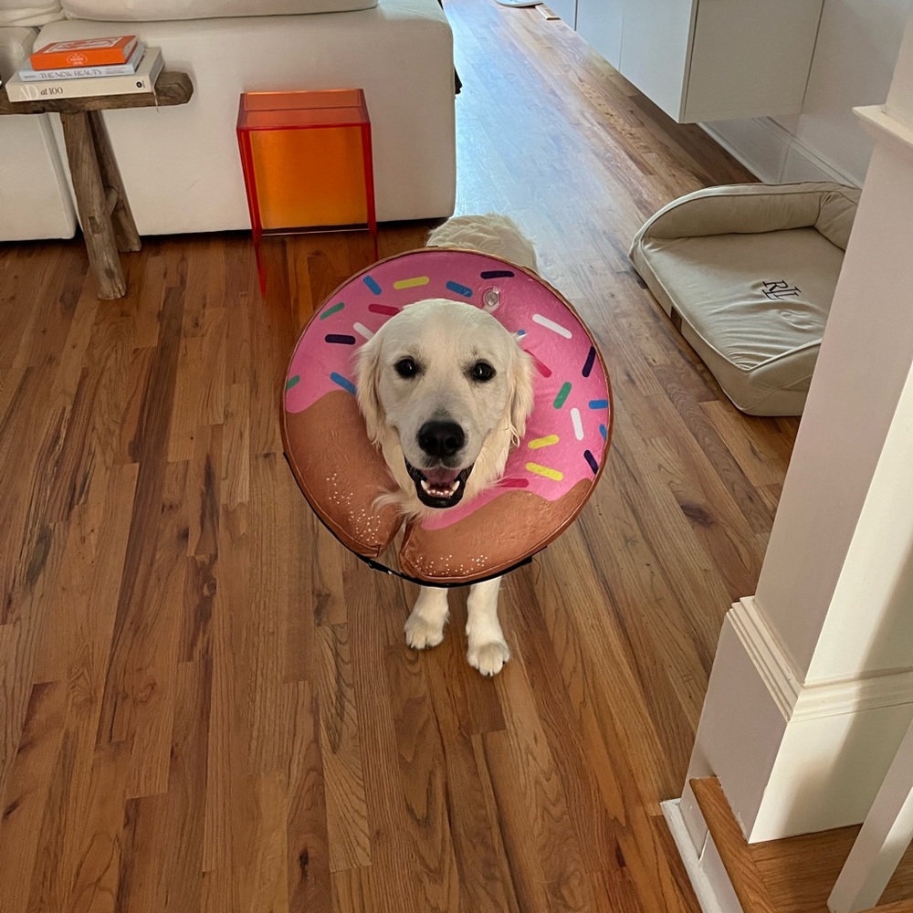 Meet your Posher, Danny